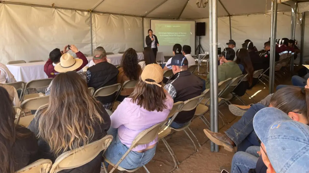 UNIENDO ESFUERZOS PARA LA SOSTENIBILIDAD AGRÍCOLA Y LA PROTECCIÓN AMBIENTAL EN SAN QUINTÍN